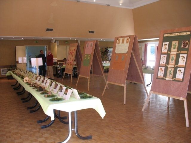 Expo champignons a St Leger 71